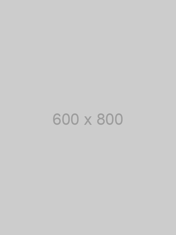 600x800, Right Info Consultation: Ücretsiz sözleşmeler, Danışmanlık ve Şirtek kuruluşu