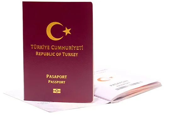 Pasaport 1, Right Info Consultation: Ücretsiz sözleşmeler, Danışmanlık ve Şirtek kuruluşu